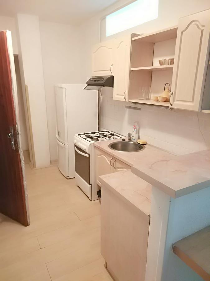 Apartment Sova 俄斯特拉发 外观 照片