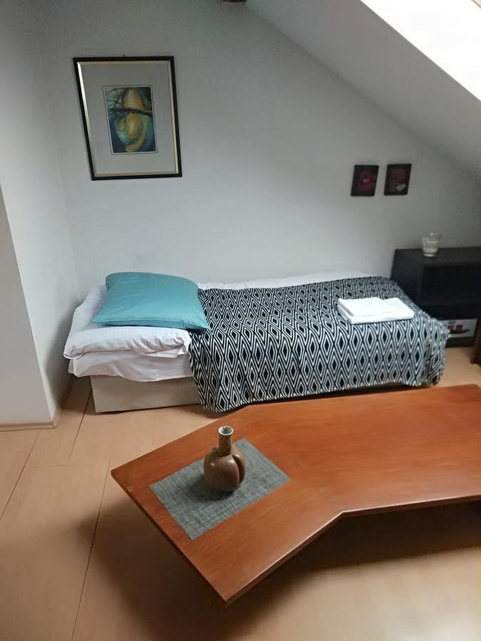 Apartment Sova 俄斯特拉发 外观 照片